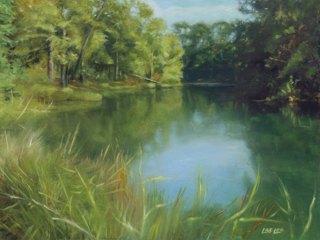A peaceful forest scene with a reflective lake