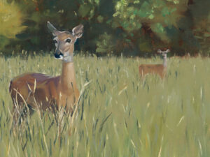 Oil painting of two young deer in tall grass