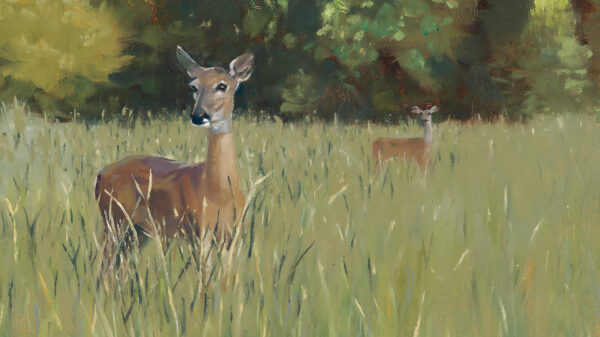 Oil painting of two young deer in tall grass