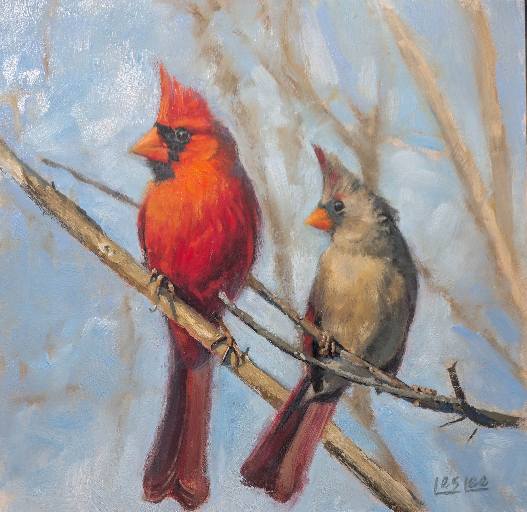 Two cardinals resting on a branch
