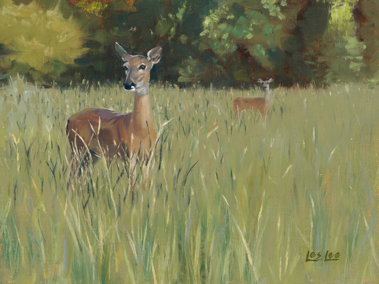 Two deer standing in a green meadow
